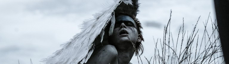 Viking warrior with white feathered cloak and face paint, surrounded by tall dry grass under cloudy sky, showcasing warrior culture and traditional attire.