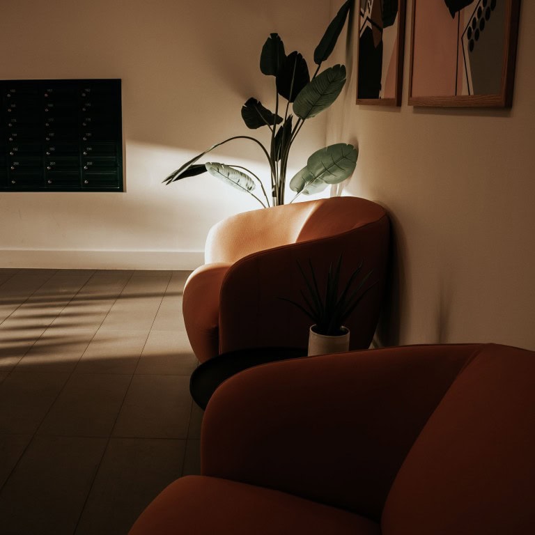 A cosy lounge area featuring a plush pink armchair, lush green houseplants, and warm ambient lighting creating a relaxing atmosphere.