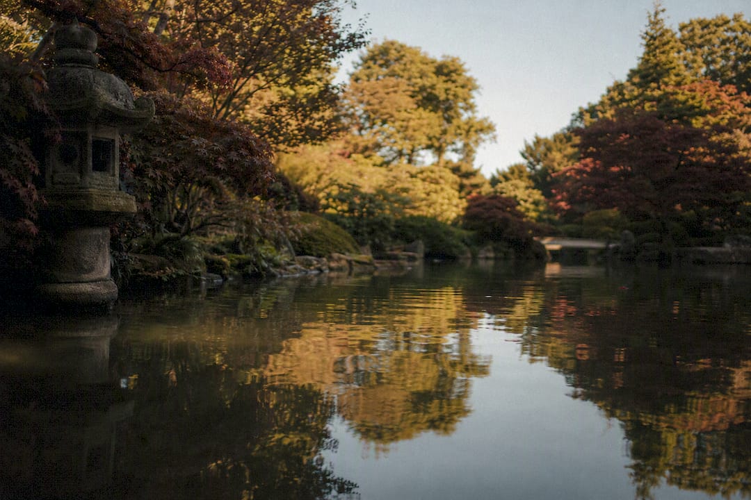 Maple reflections across Kyoto Garden pond